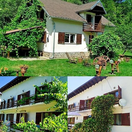 הוילה Cîrţişoara Complex Adela Transfagarasan מראה חיצוני תמונה