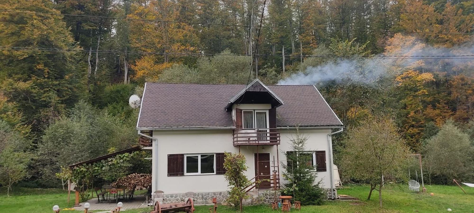 הוילה Cîrţişoara Complex Adela Transfagarasan מראה חיצוני תמונה