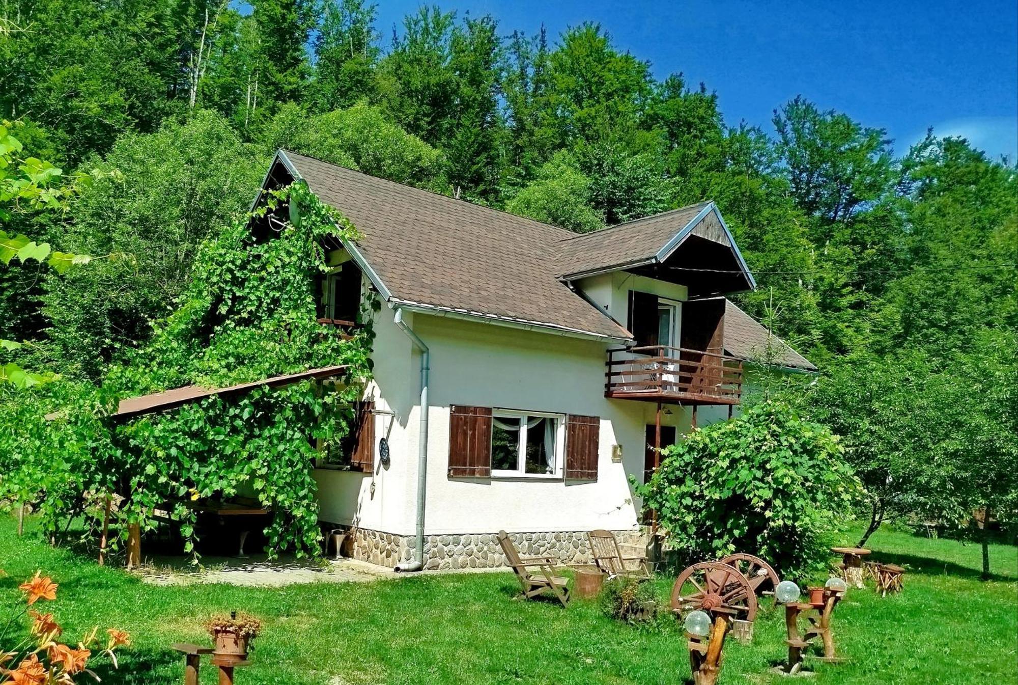 הוילה Cîrţişoara Complex Adela Transfagarasan מראה חיצוני תמונה