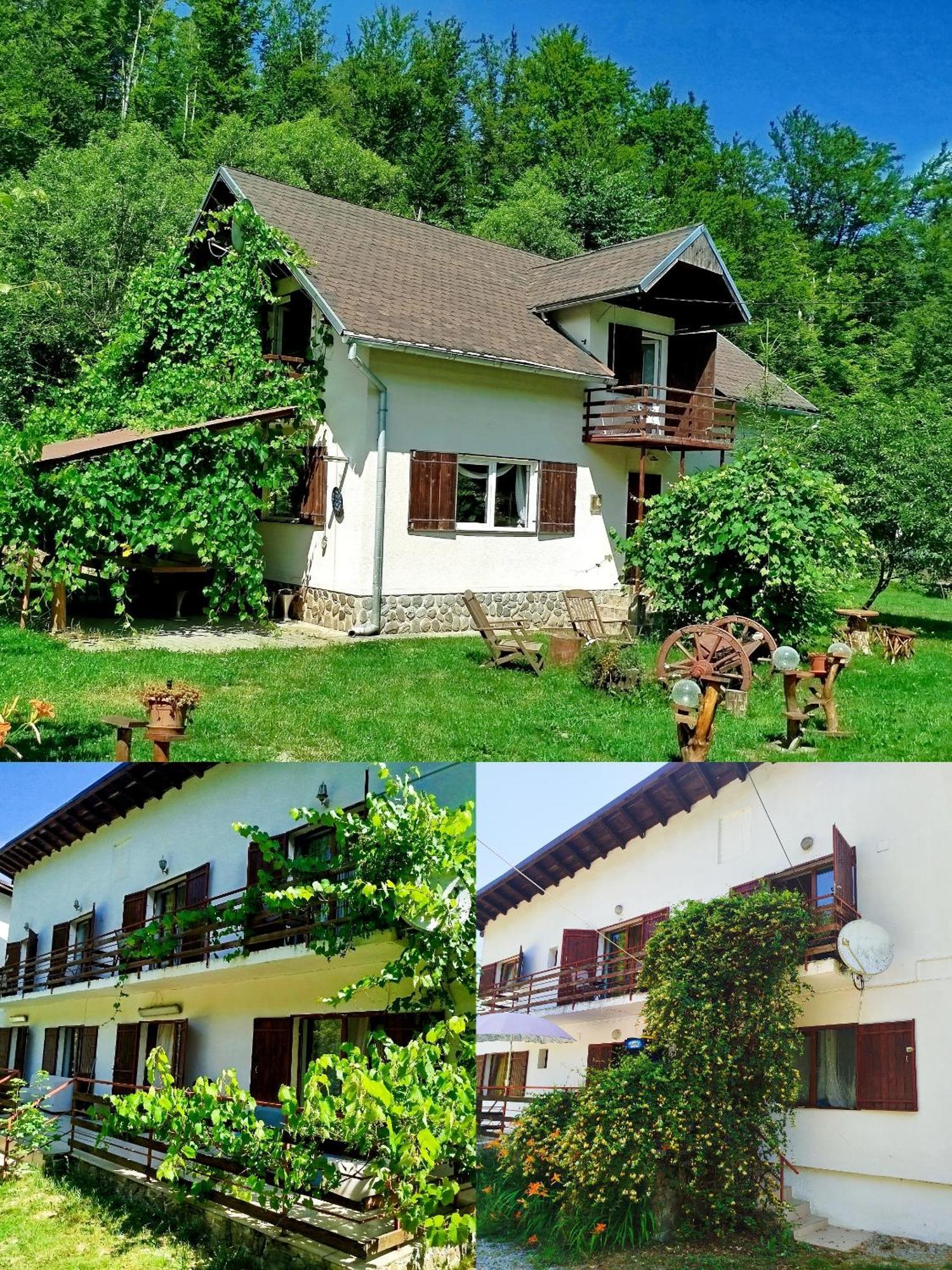 הוילה Cîrţişoara Complex Adela Transfagarasan מראה חיצוני תמונה