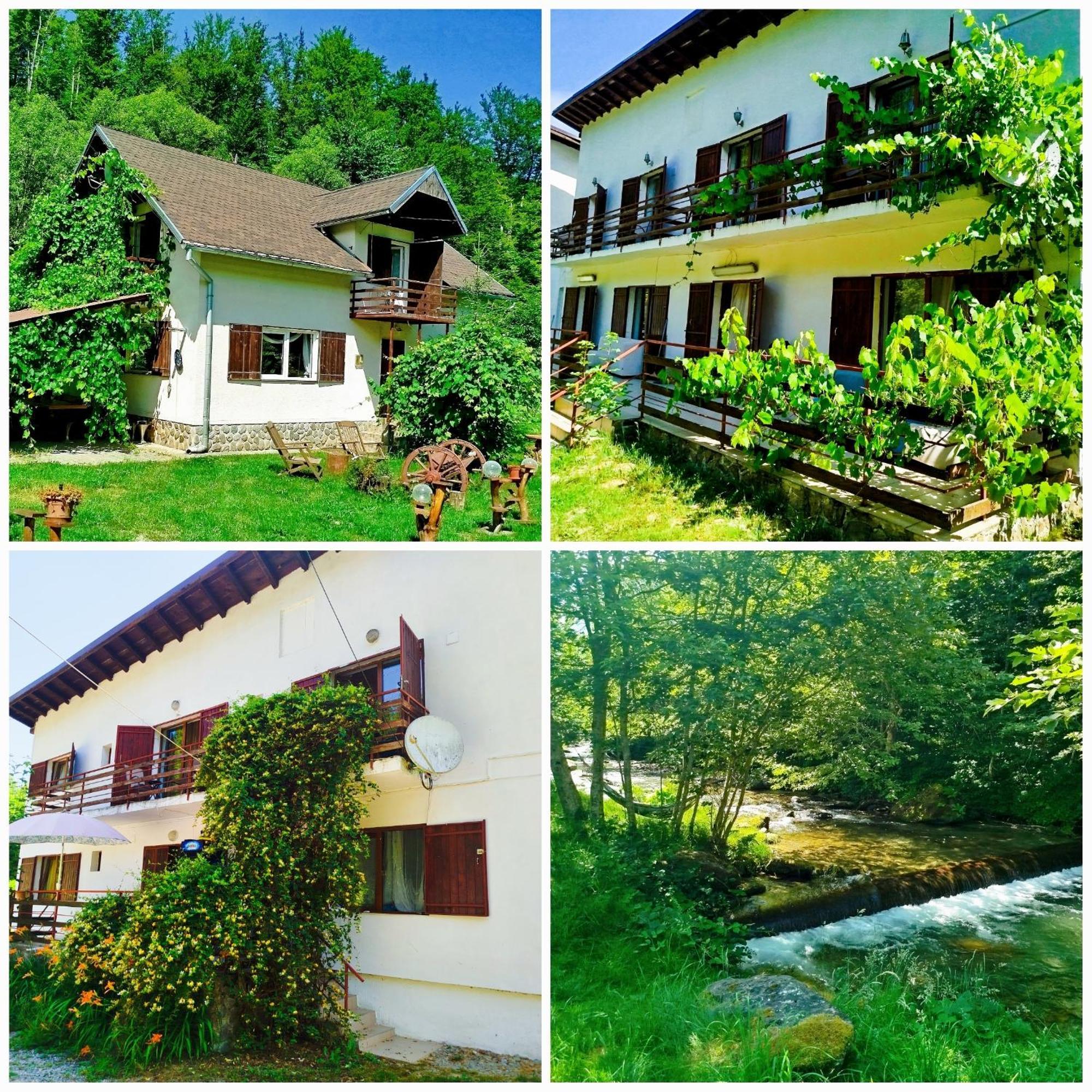 הוילה Cîrţişoara Complex Adela Transfagarasan מראה חיצוני תמונה