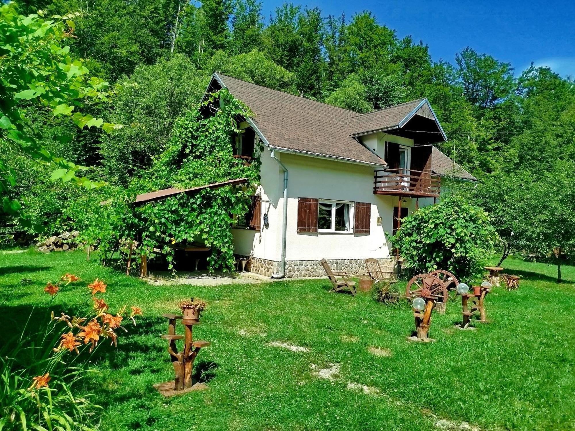 הוילה Cîrţişoara Complex Adela Transfagarasan מראה חיצוני תמונה