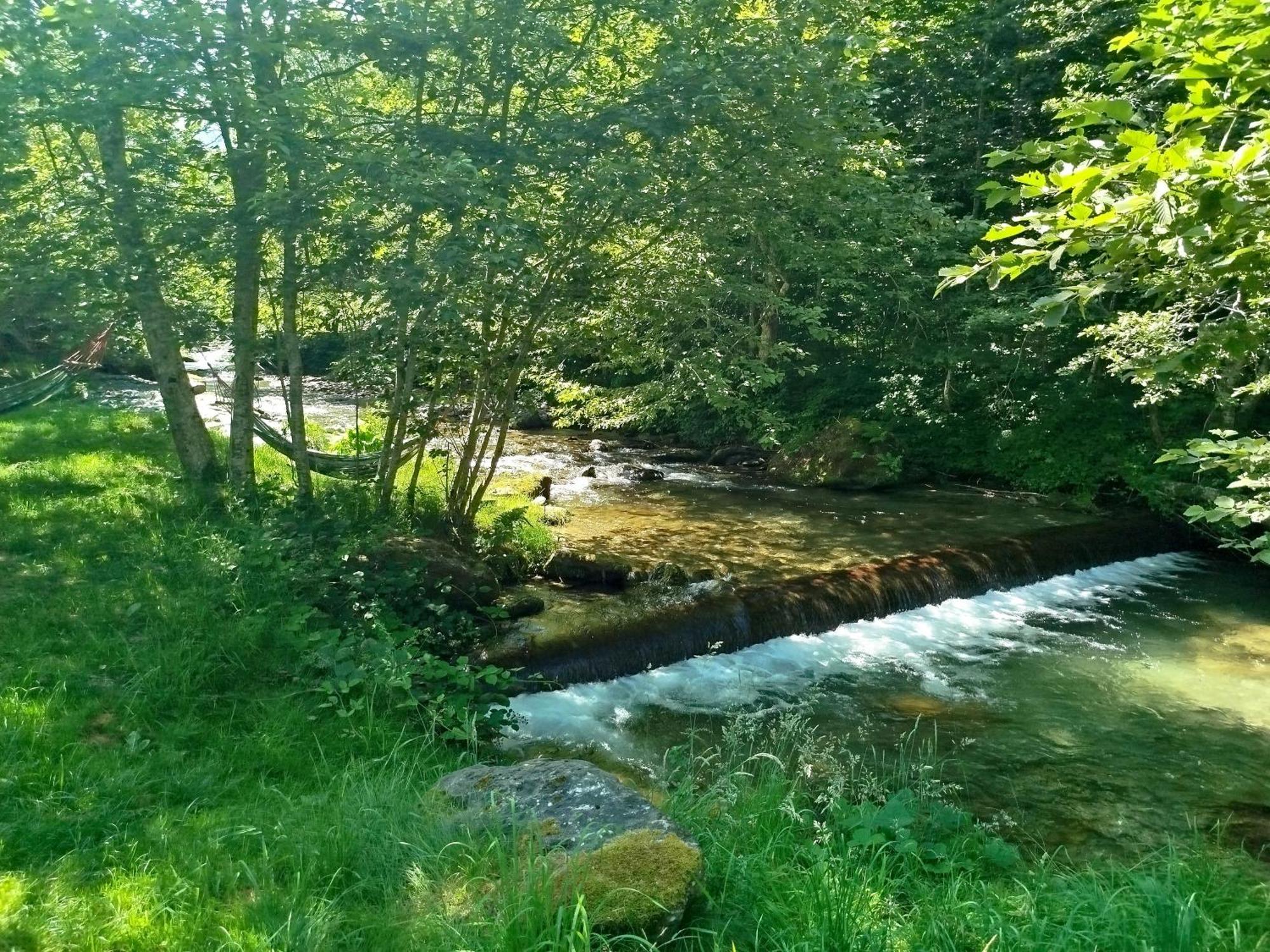 הוילה Cîrţişoara Complex Adela Transfagarasan מראה חיצוני תמונה