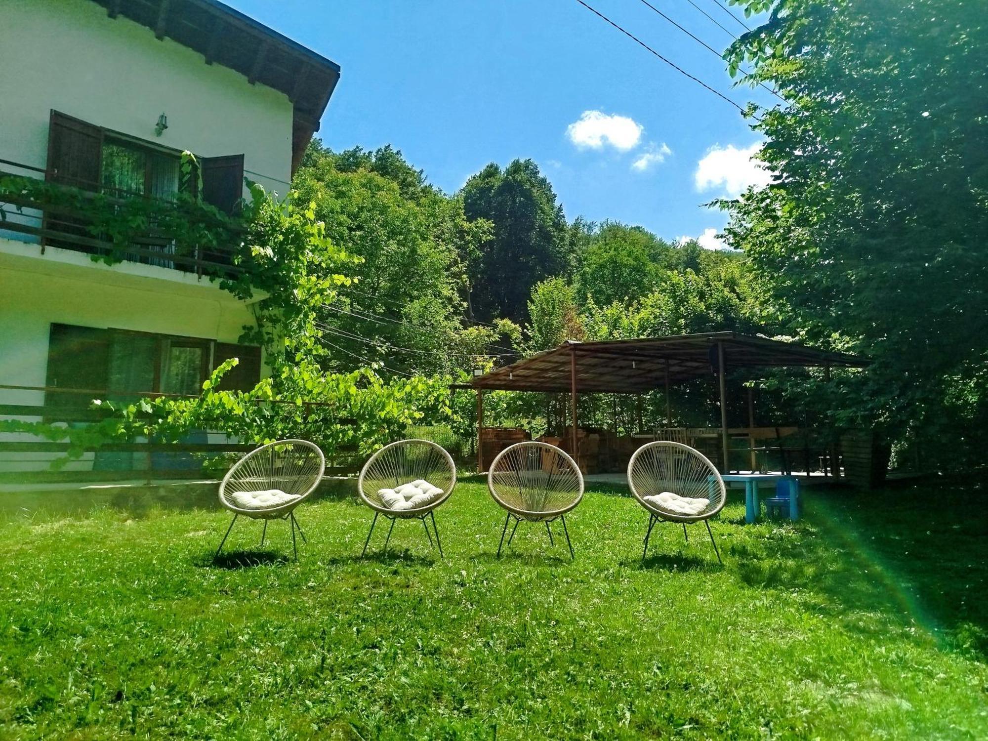 הוילה Cîrţişoara Complex Adela Transfagarasan מראה חיצוני תמונה