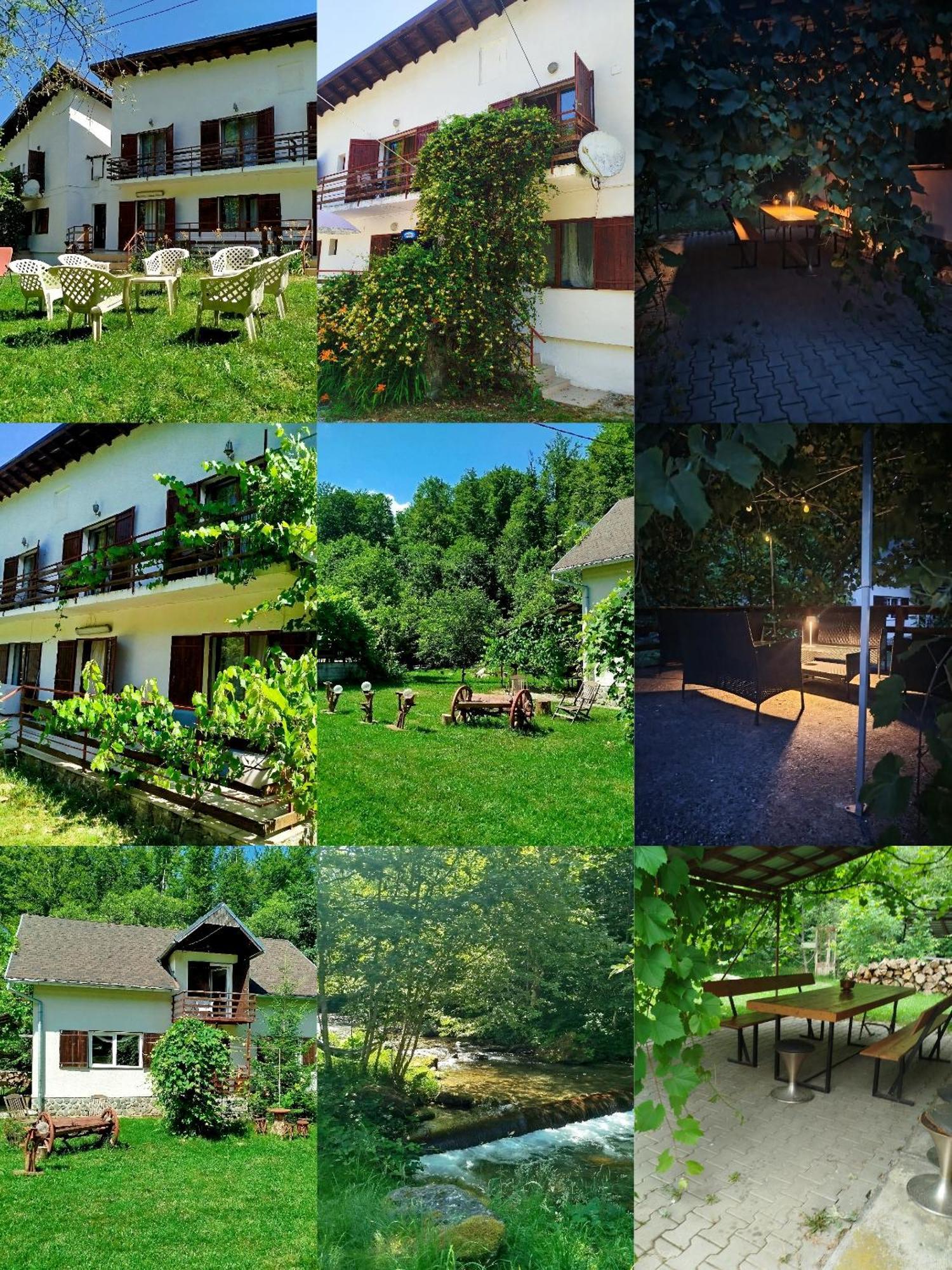 הוילה Cîrţişoara Complex Adela Transfagarasan מראה חיצוני תמונה